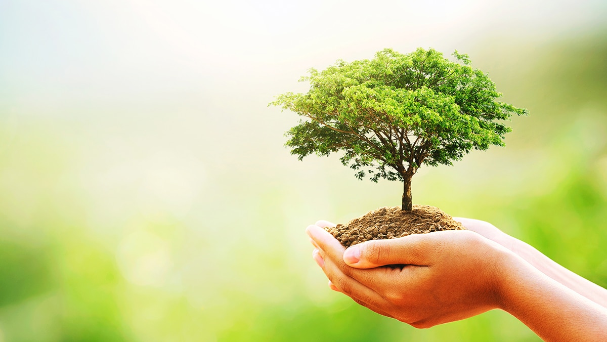 Join the Sustainability Revolution: Why Choosing to Live Sustainably Matters Now More Than Ever!