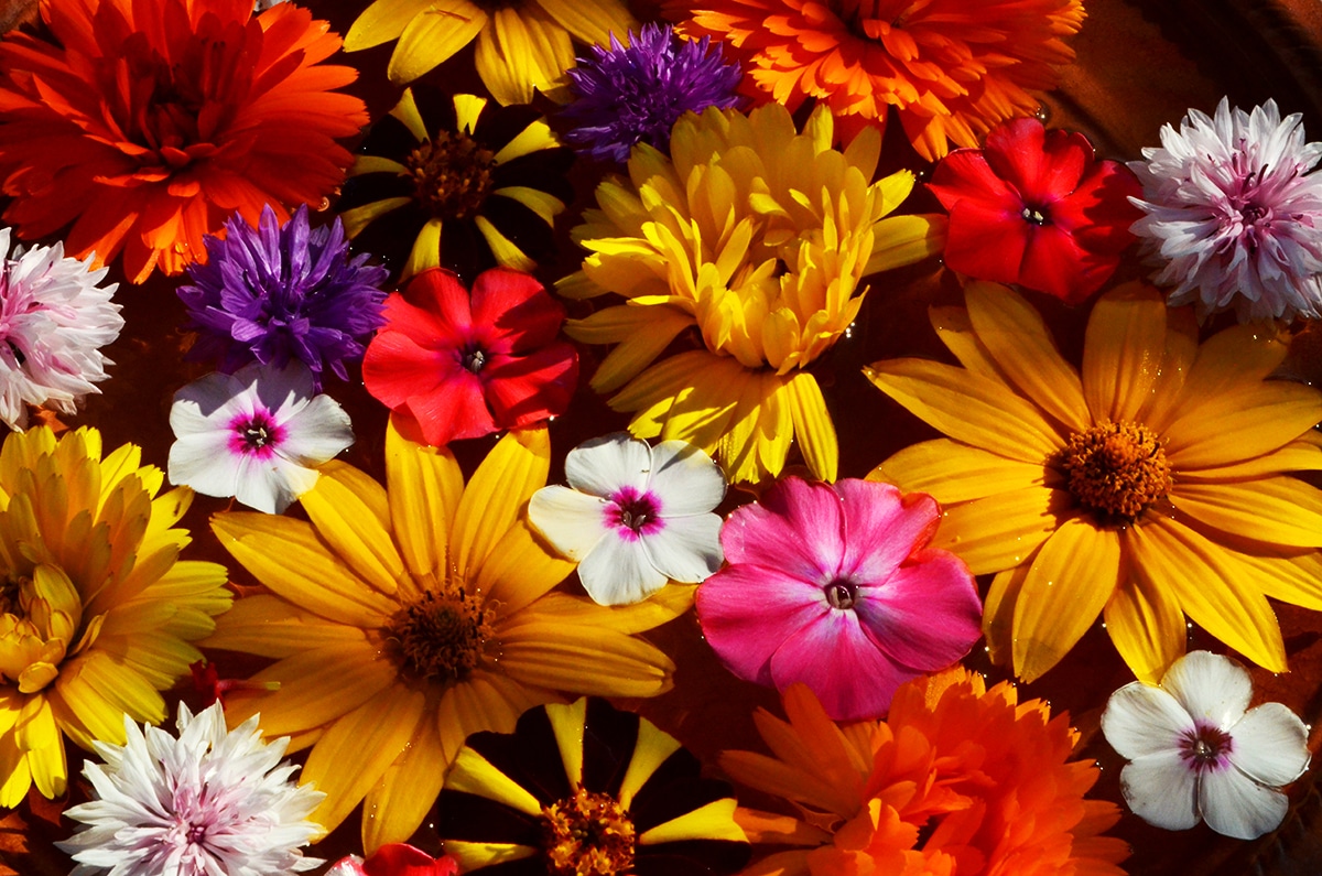 Transform Your Outdoor Space with these Stunning and Creative Garden Decor Ideas