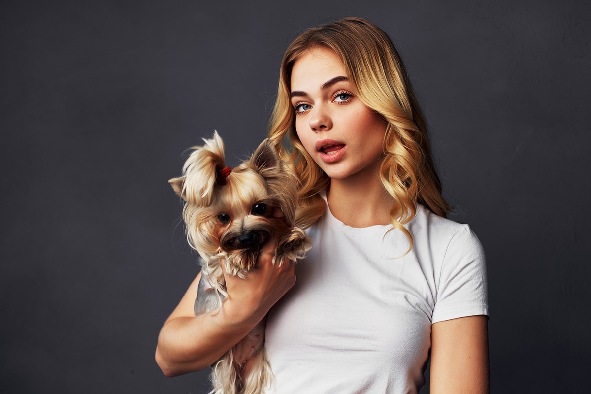 Adopt, Don’t Shop: Why Domestic Animals Make the Best Companions and How You Can Make a Difference