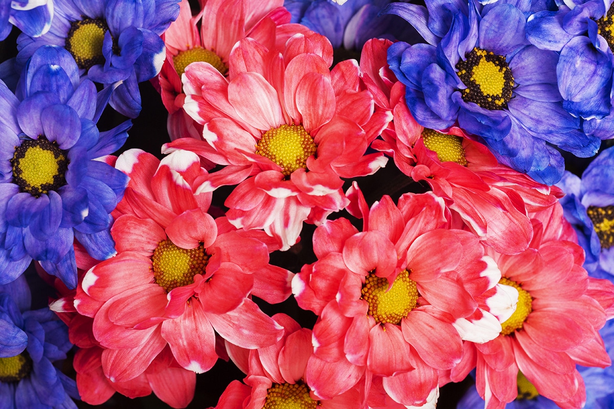 Transform Your Outdoor Space into a Beautiful Oasis with Stunning Garden Décor!