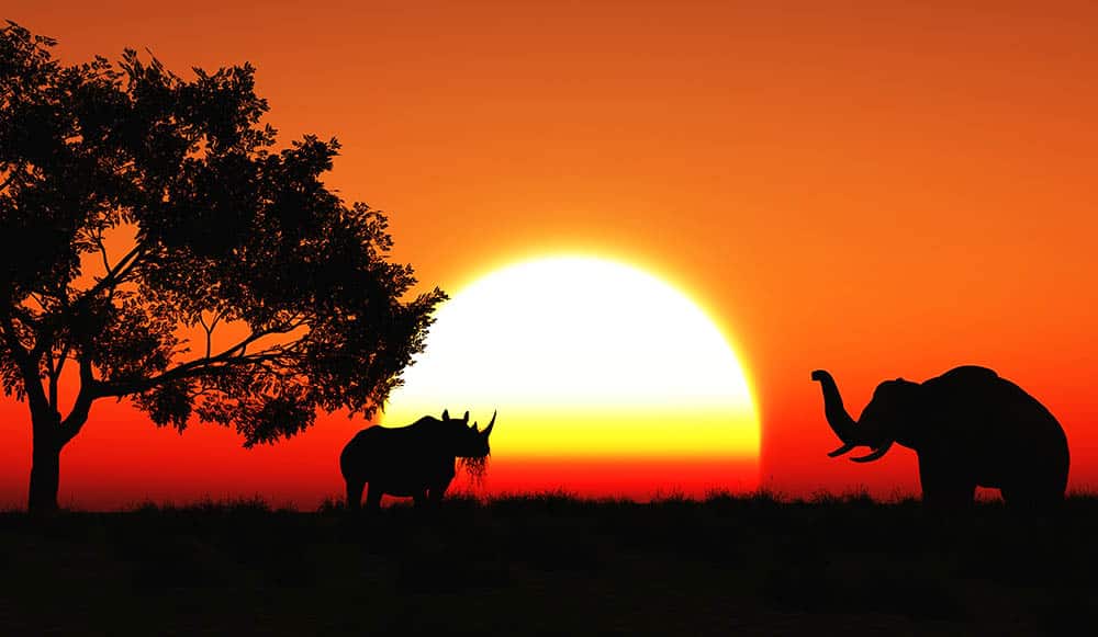 4 Reasons Why Protected Areas are Essential for Our Planet’s Survival