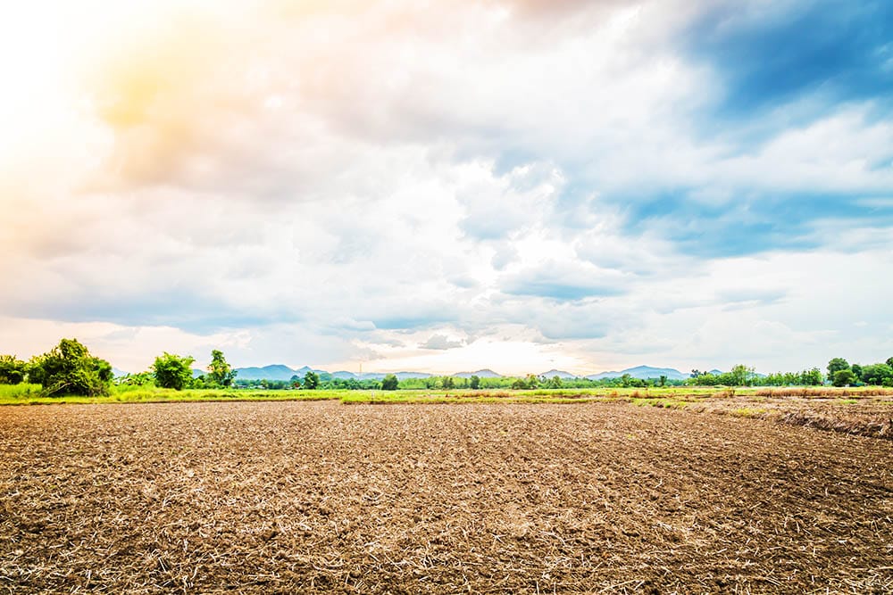 Act Now or Pay Later: The Urgent Need to Address Climate Change