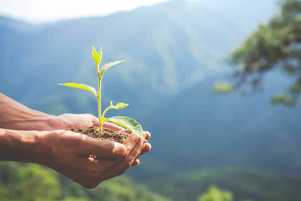 Why Supporting Fair Trade is the Ethical and Responsible Choice for Every Consumer