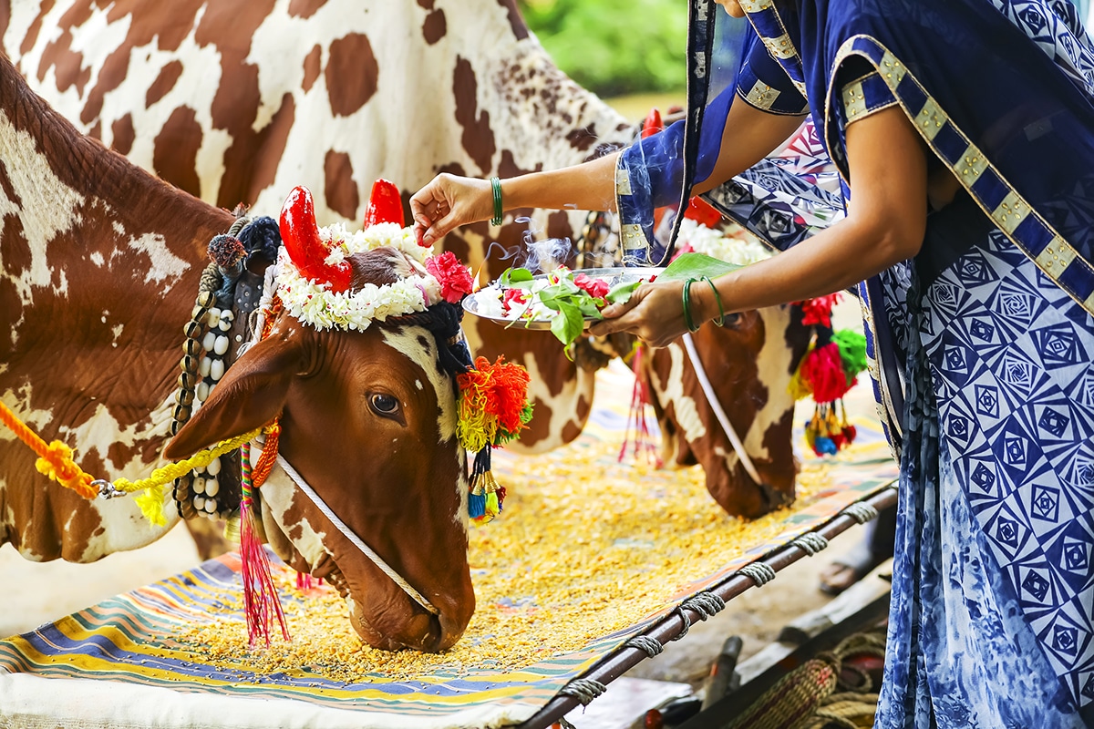 Why India should be at the top of your travel bucket list