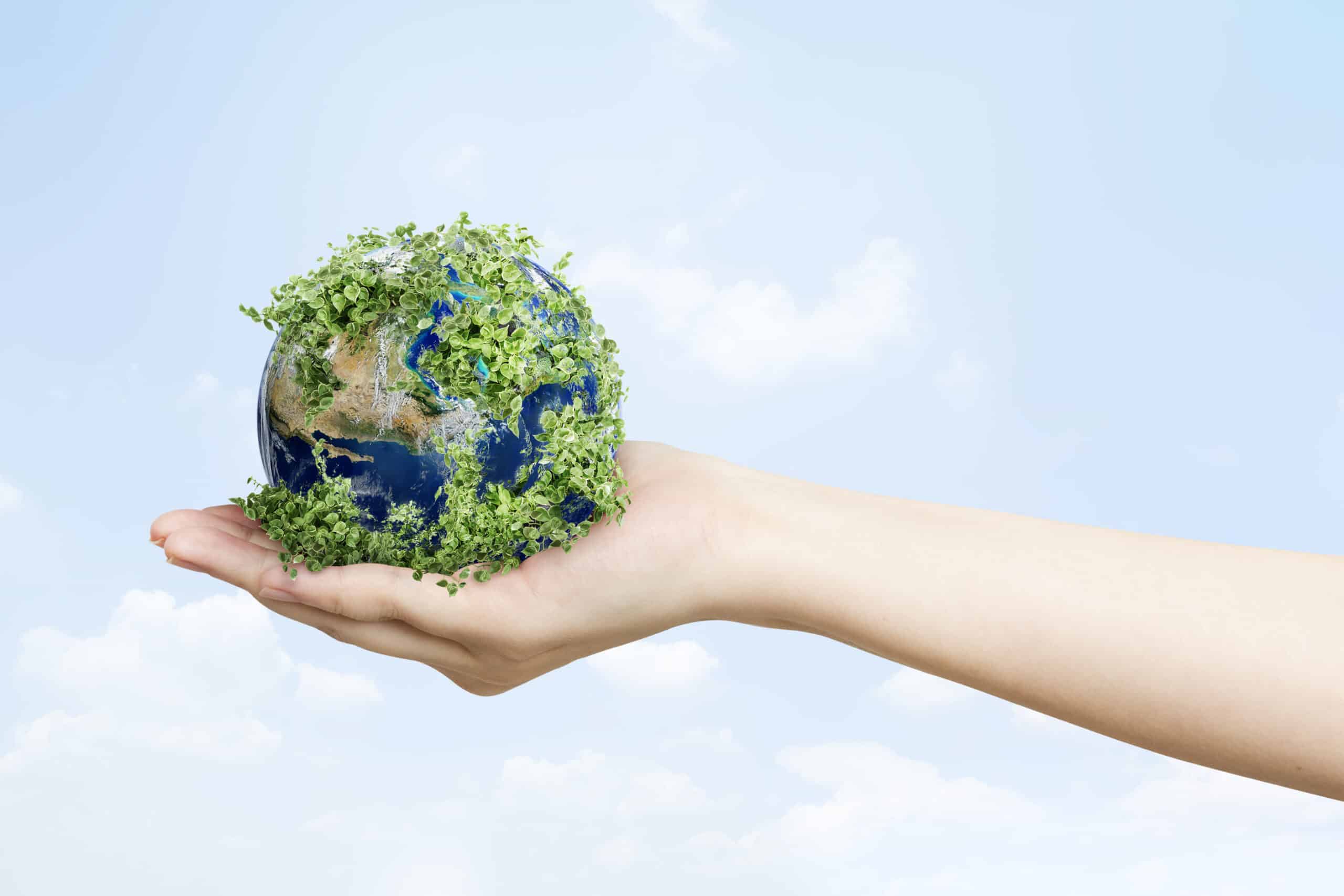 Protect Our Planet’s Lifeline: Why Biodiversity is Key to a Sustainable Future