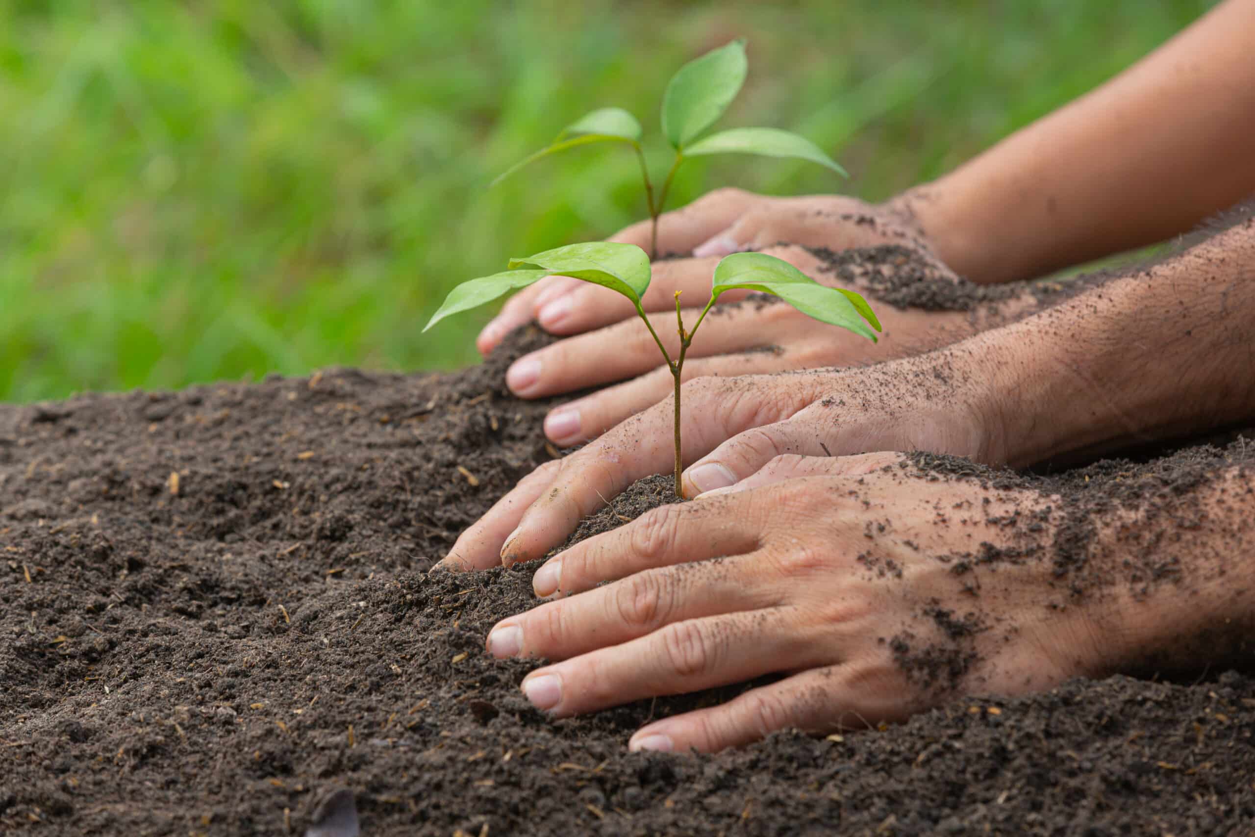 Why Environmental Education is Crucial for the Future of Our Planet – and How You Can Make a Difference!